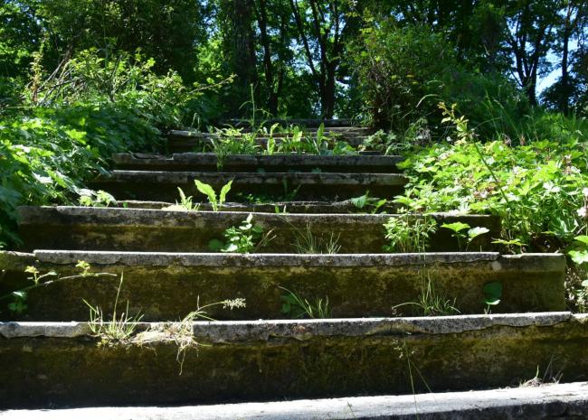 Stufen im Schlosspark Garten